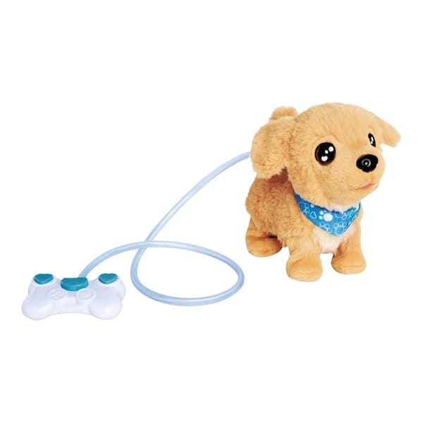 Simba - ChiChi LOVE - Loomy - Golden Retriever